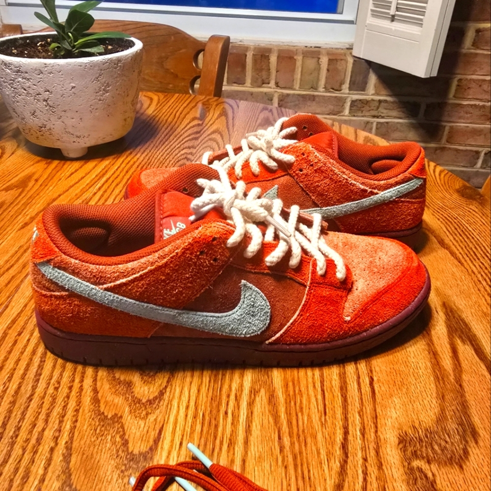 Nike sb dunks